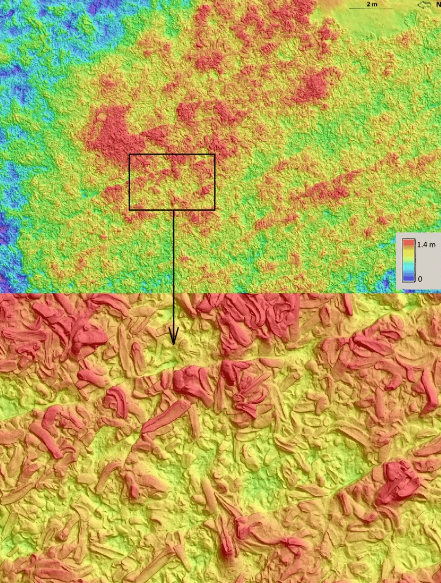 Digital Surface Model